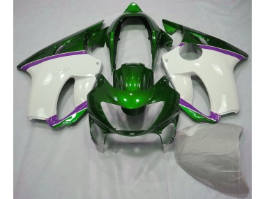 1999-2000 Lizard Green and Purple Honda CBR600 F4 Motorcycle Fairing