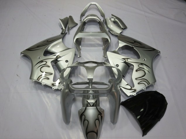 2000-2002 Silver Flame Kawasaki ZX6R Motorcycle Fairing 2000-2002 Silver Flame Kawasaki ZX6R Motorcycle Fairing