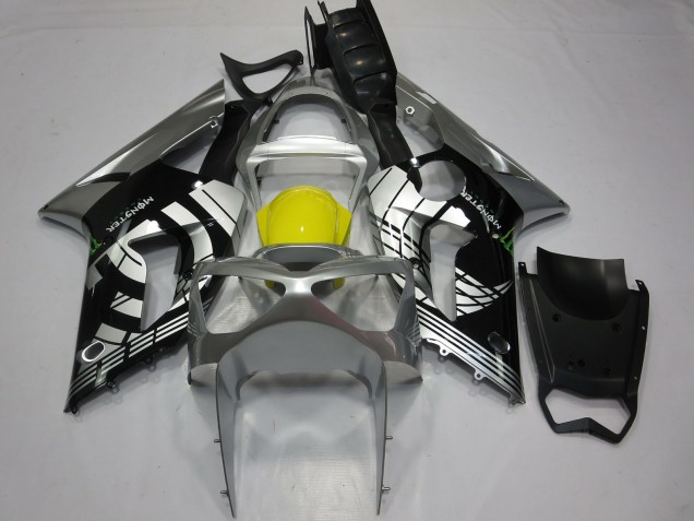 2003-2004 Custom Special Kawasaki ZX6R Motorcycle Fairing 2003-2004 Custom Special Kawasaki ZX6R Motorcycle Fairing