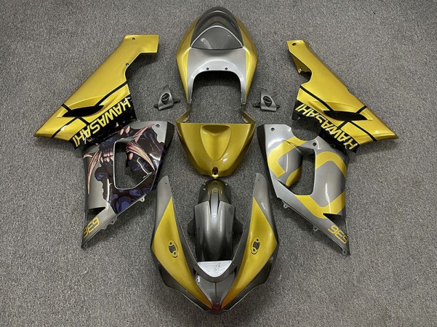 2005-2006 Gold and Silver Kawasaki ZX6R Motorcycle Fairing 2005-2006 Gold and Silver Kawasaki ZX6R Motorcycle Fairing